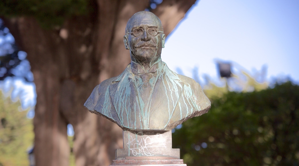 Plaza Muñoz Gamero que incluye jardín y una estatua o escultura