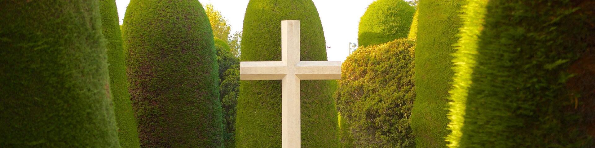 Punta Arenas Cemetery showing a park and religious elements