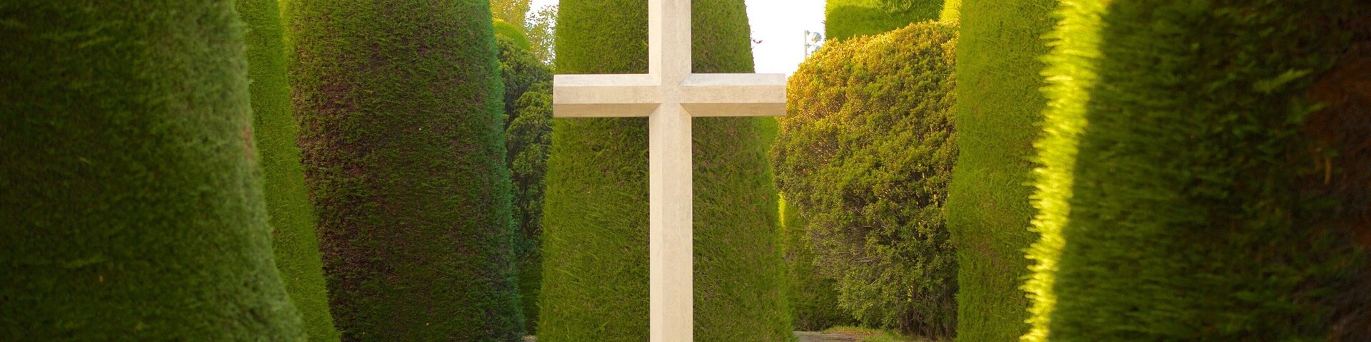 Punta Arenas Cemetery showing a park and religious elements