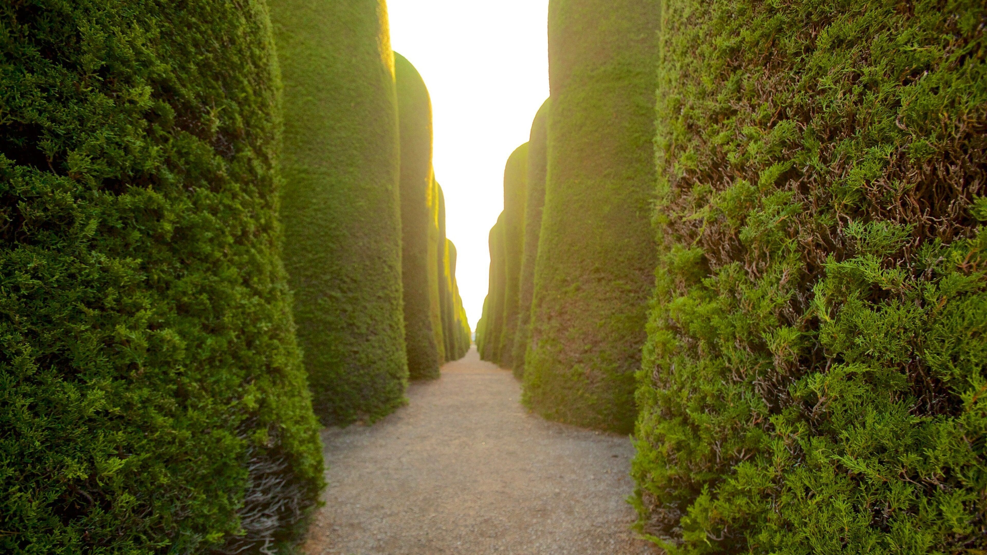 Punta Arenas Cemetery which includes a garden