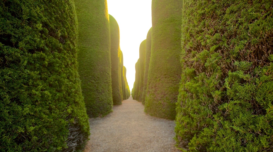Punta Arenas Cemetery which includes a garden