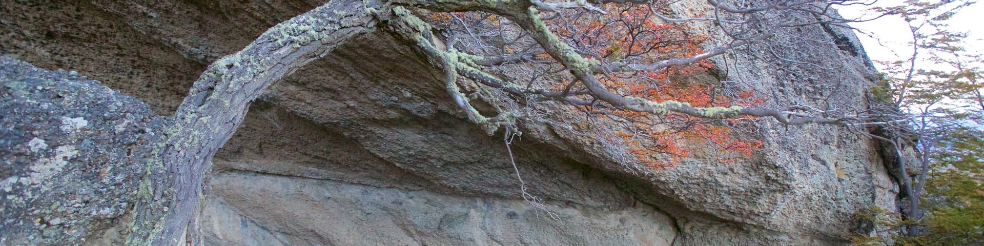 Cueva del Milodon which includes tranquil scenes