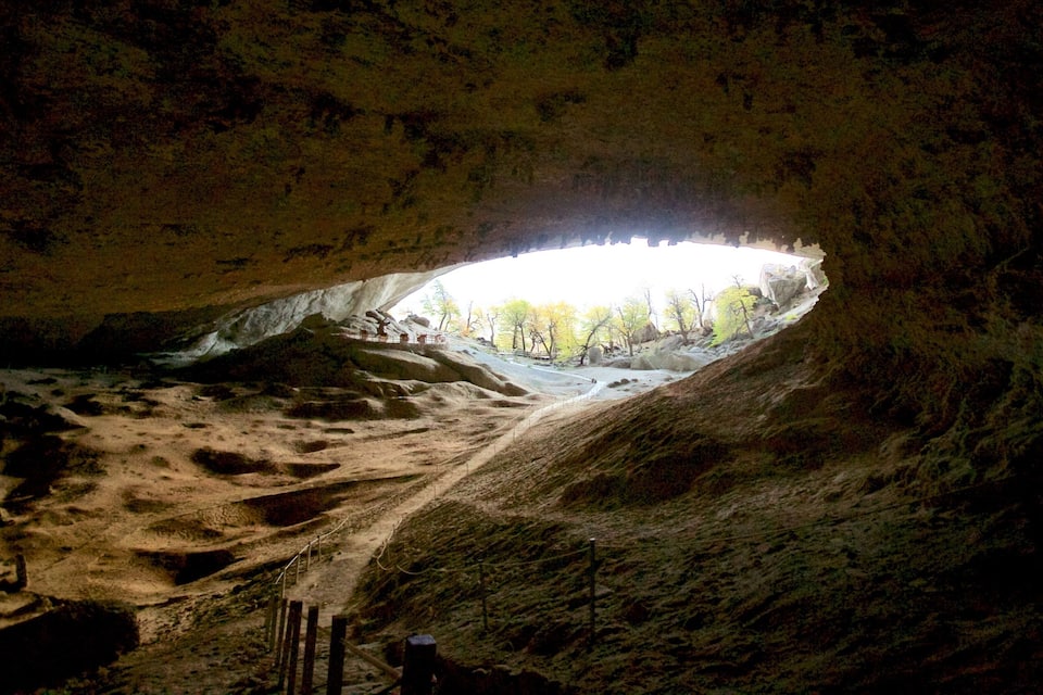 Entrada a una cueva con vistas a árboles y un sendero que conduce al interior.