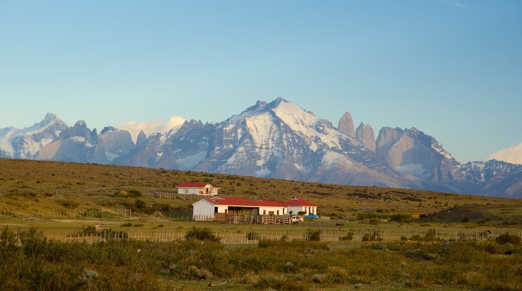 Torres del Paine National Park showing mountains, landscape views and tranquil scenes