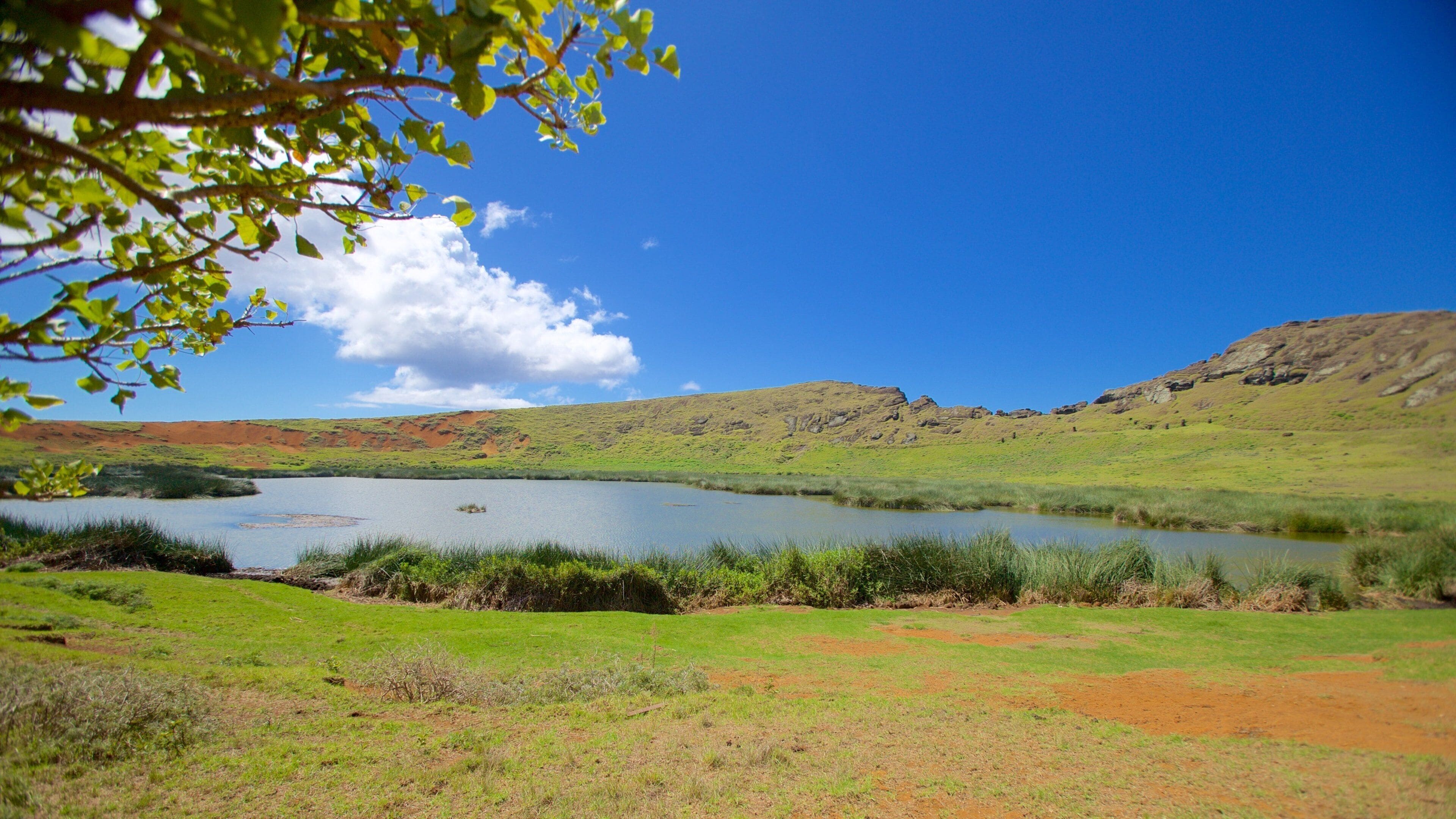 Hanga Roa