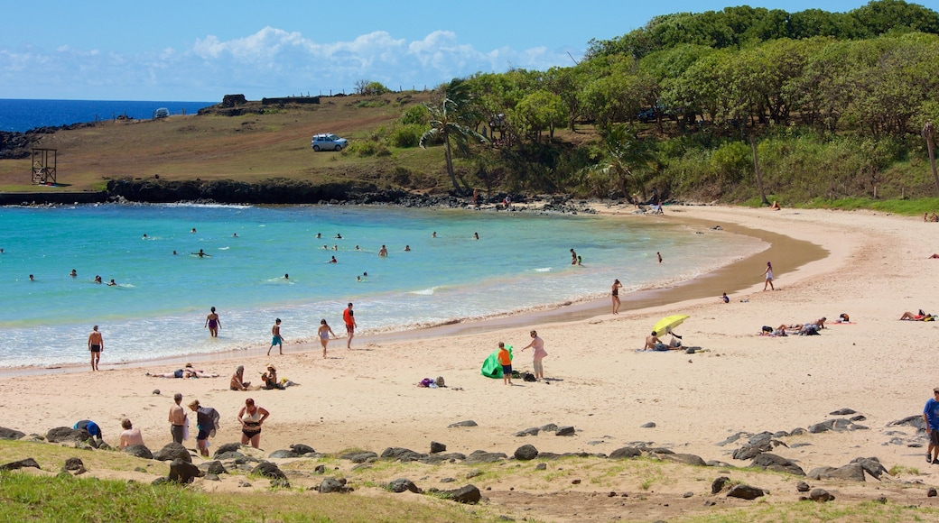 Anakena Beach showing a sandy beach
