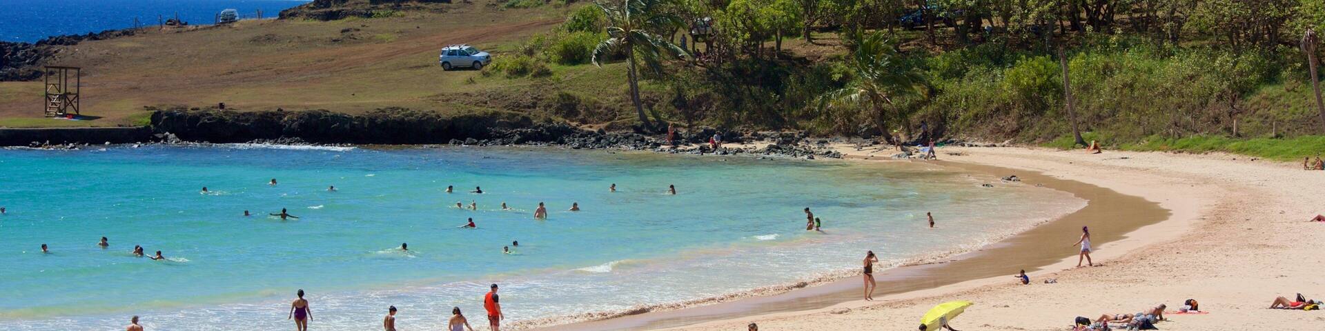 Anakena Beach showing a sandy beach