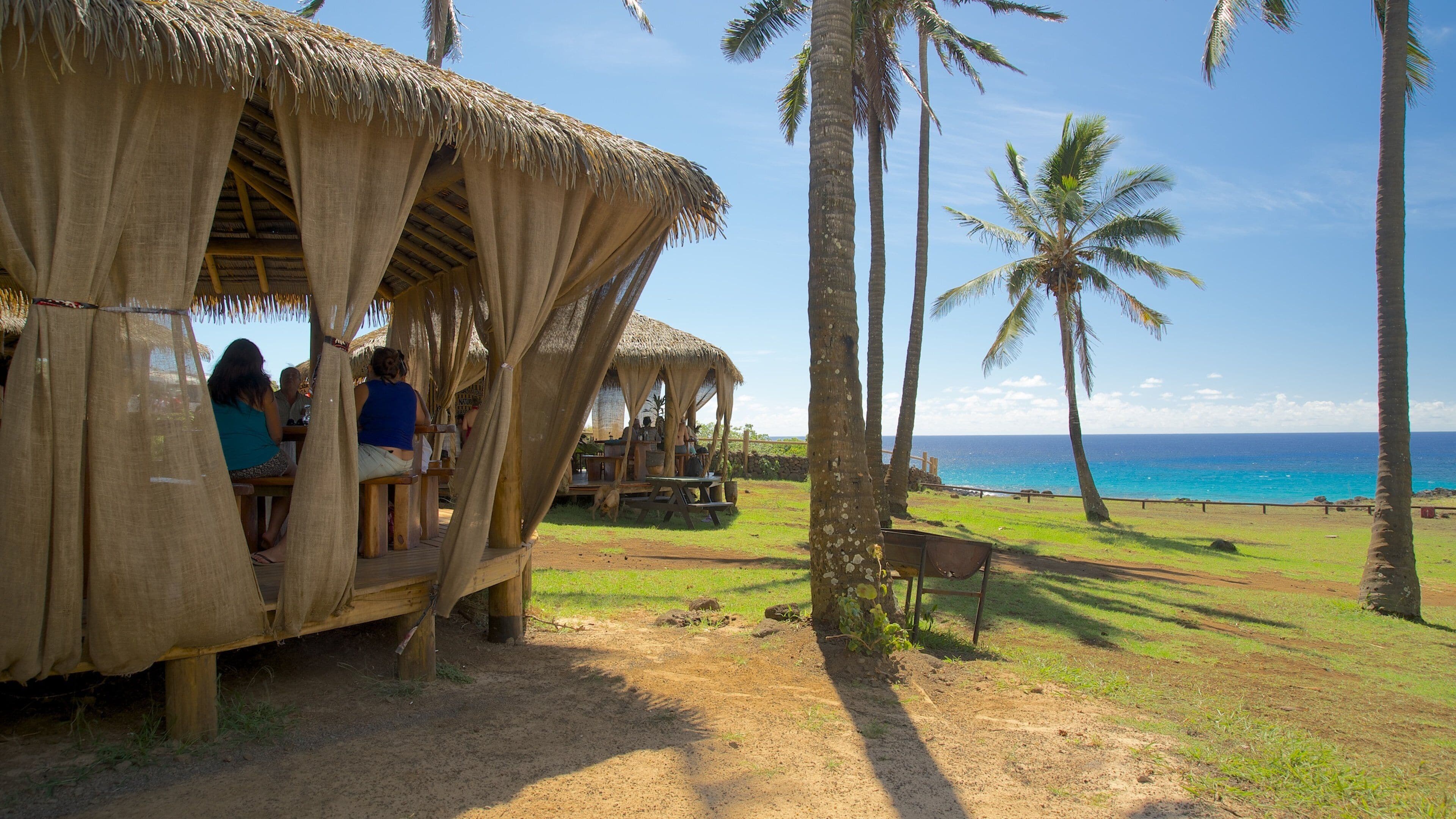 Anakena Beach showing general coastal views and tropical scenes