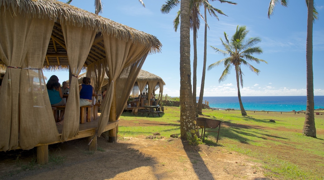 Anakena Beach showing general coastal views and tropical scenes