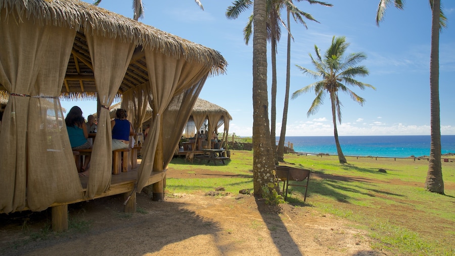 Anakena Beach showing general coastal views and tropical scenes