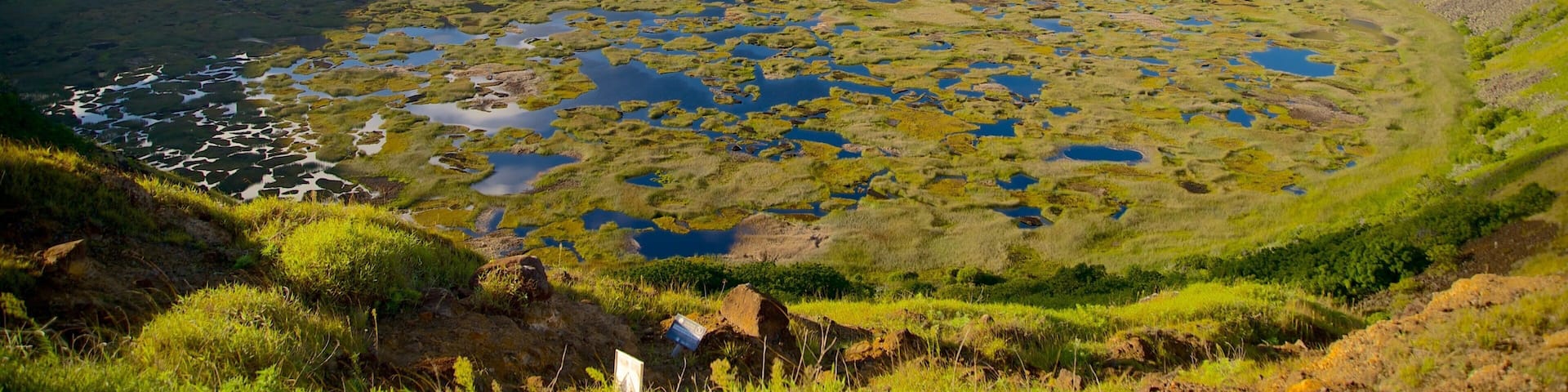 Ranu Kau showing tranquil scenes, general coastal views and wetlands