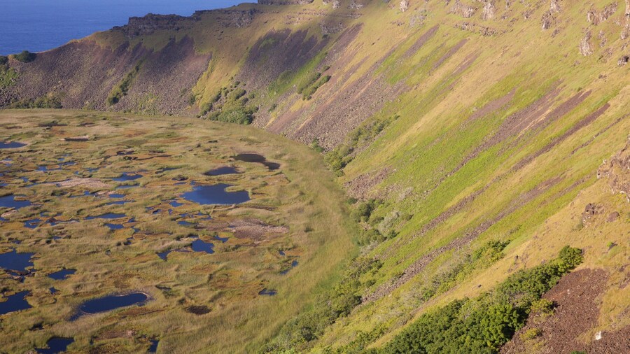 Rano Kau qui includes vues littorales et zone humide
