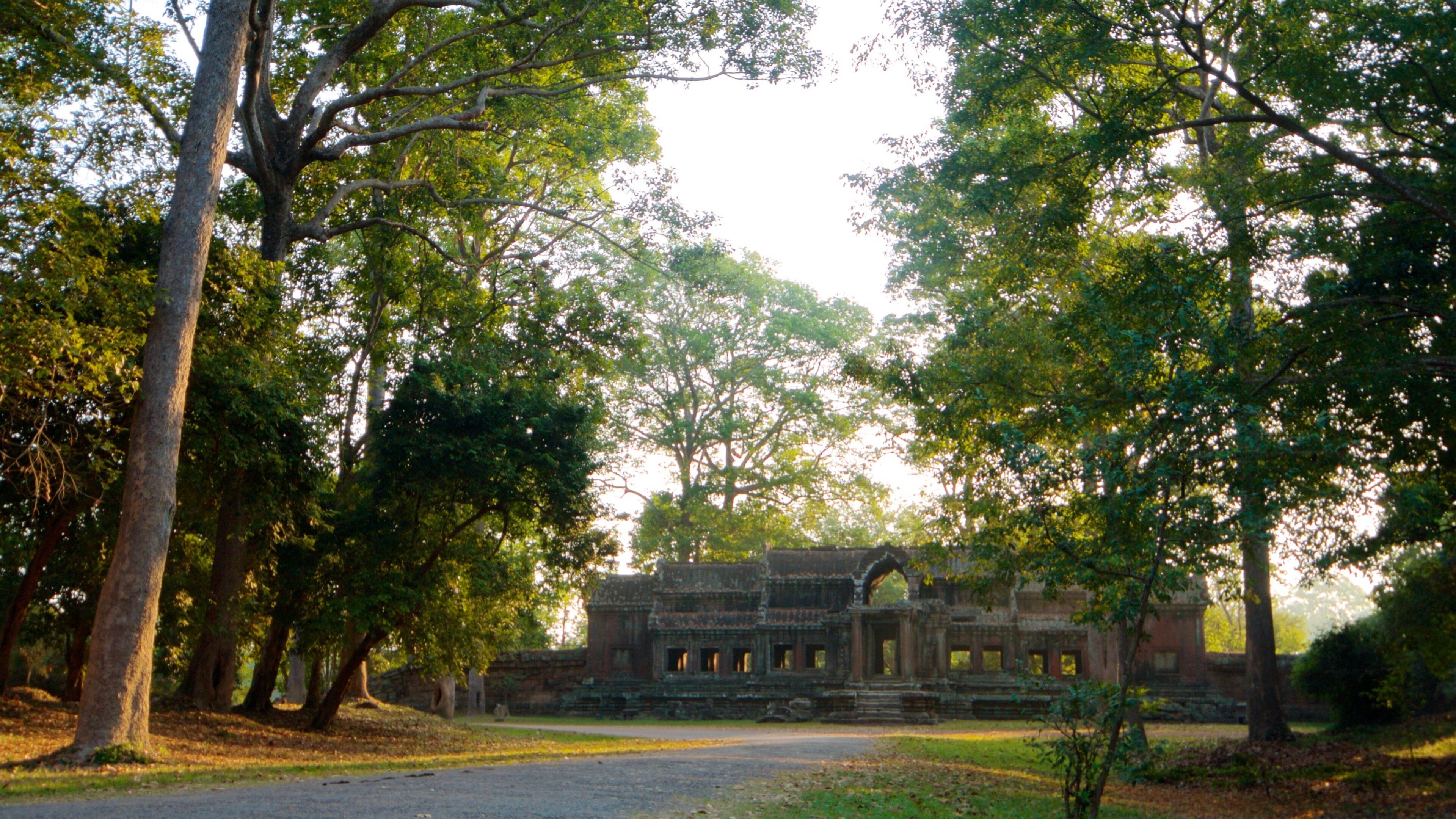 Angkor Wat featuring a garden, a temple or place of worship and heritage elements