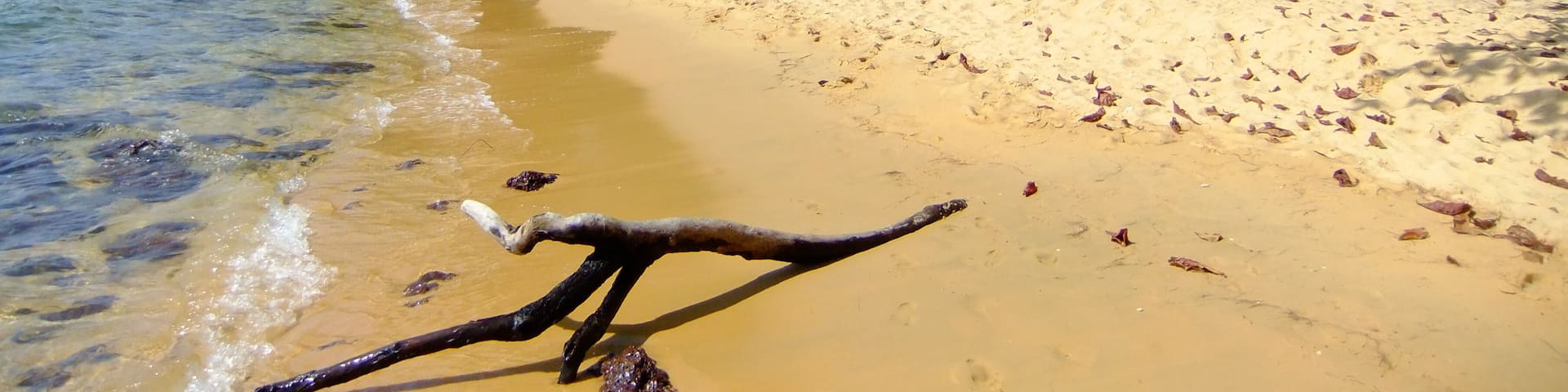 Sandy beach at Koh Russei island, Gulf of Thailand, Cambodia, Southeast Asia, Shutterstock ID 134178002, Purchase Order: SP-1981, Order Number: SP-1981 Go Guide image research Philippines/Cambodia, Cl