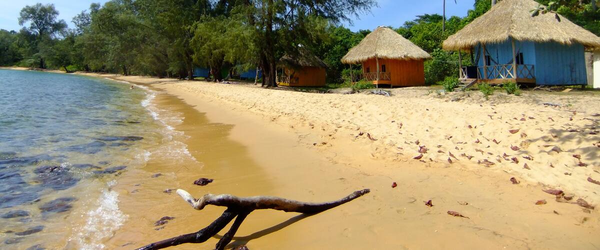 A beach with thatched-roof huts, palm trees, and a clear sky.