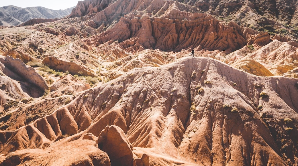 Fairytale canyon in Kyrgystan... what a colorfull and fun place to be. Little hikes and climbing from one sand canyon to another. Worth the visit.
#TroveOn #TakeAHike #kyrgystan #fairytalcanyon #Landscape #earth
https://www.facebook.com/ShotByCanipel/
https://www.instagram.com/canipel/