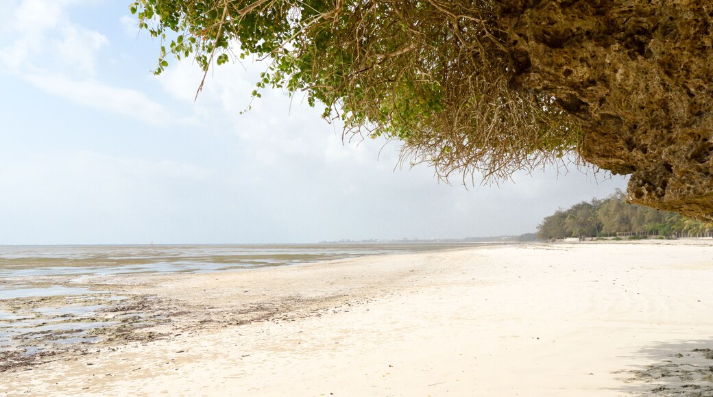 Small cove with a rock