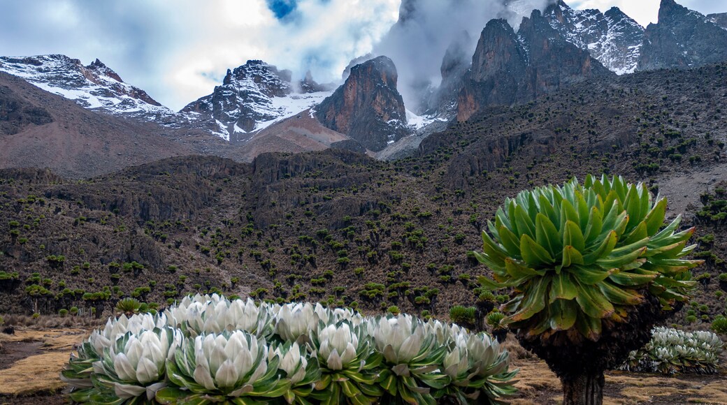 mt kenya national park