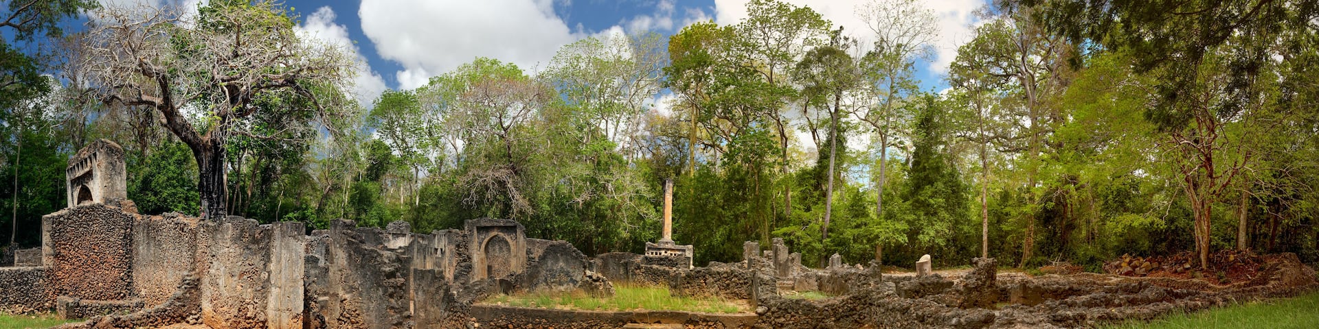 Ancient stone ruins with a large tree in the foreground and a clear blue sky.