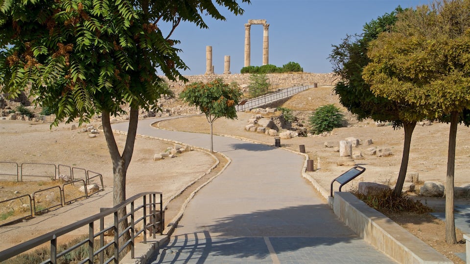 Temple of Hercules featuring heritage elements and a garden
