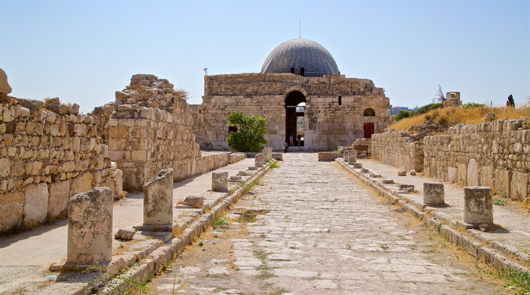 Ummayed Palace showing building ruins and heritage elements
