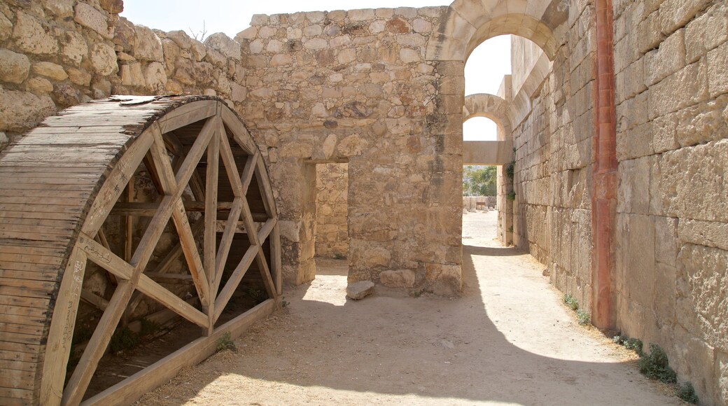 Ummayed Palace which includes heritage elements