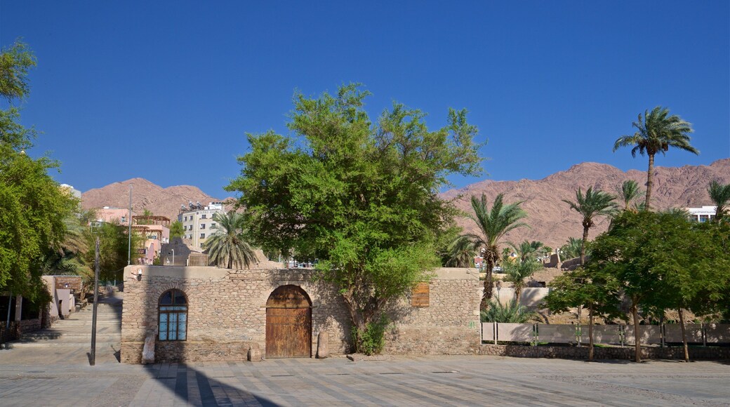 Aqaba Fort