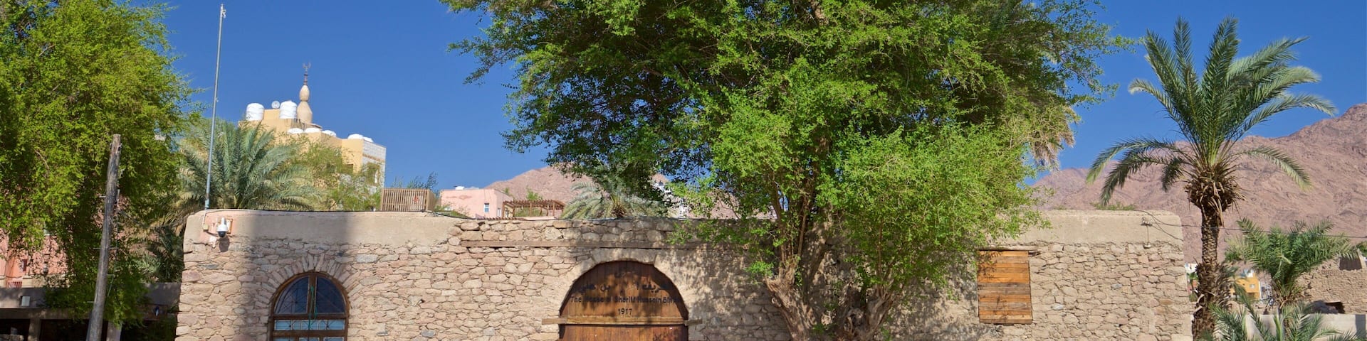 A stone building with an arched wooden door, a large tree in front, and a mosque with domes in the background.