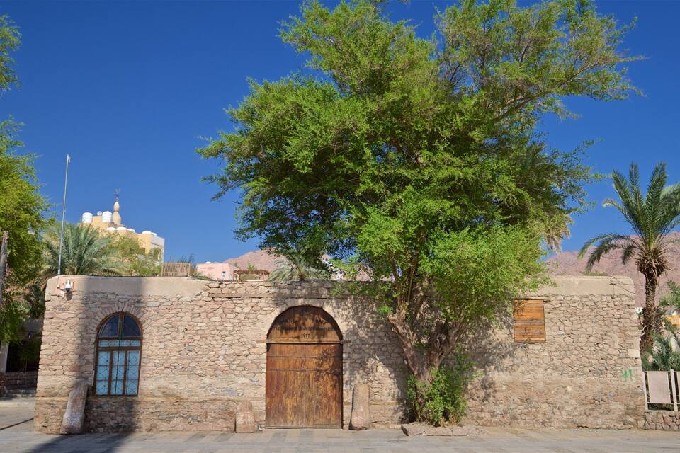 A stone building with an arched wooden door, a large tree in front, and a mosque with domes in the background.