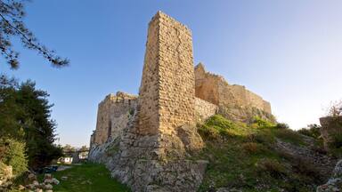 Castillo de Ajloun que incluye elementos del patrimonio y una ruina