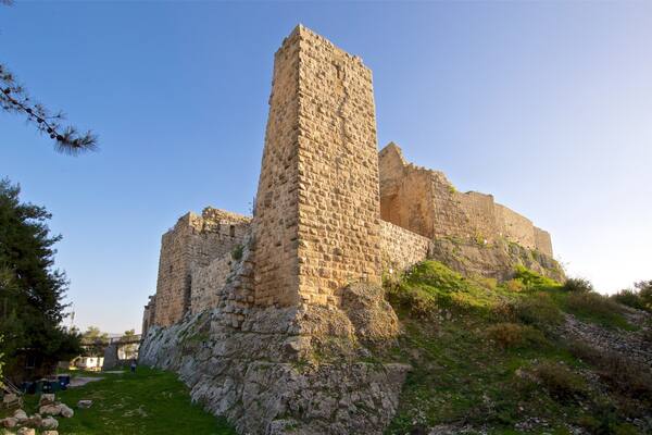 Eine historische Steinburg mit einem hohen, zentralen Turm, umgeben von Grünflächen und felsigem Gelände.