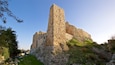 Un castillo de piedra histórico con una alta torre central, rodeado de vegetación y terreno rocoso.