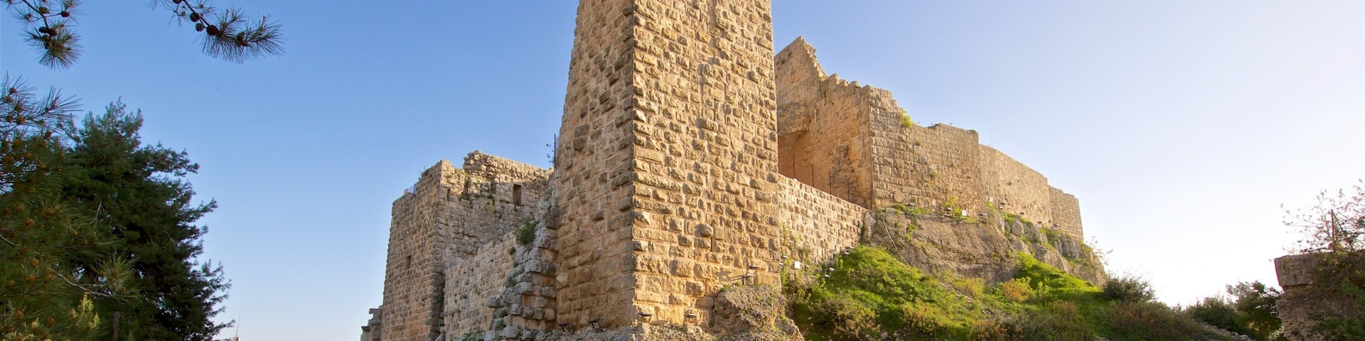 Ajloun Castle featuring a ruin and heritage elements