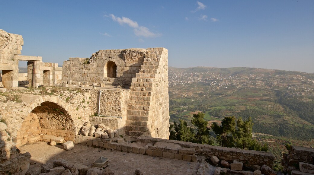 Ajloun Castle featuring heritage elements, tranquil scenes and a ruin