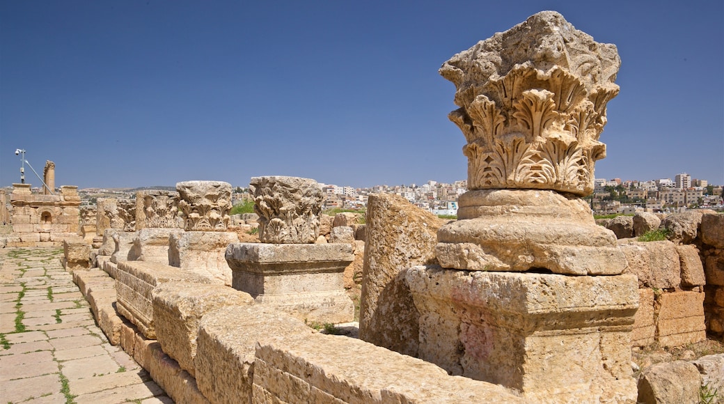 Jerash Archaeological Museum which includes a ruin and heritage elements