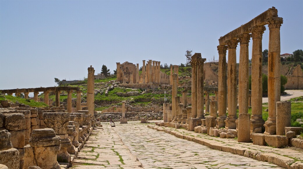 Jerash Archaeological Museum showing heritage elements and building ruins