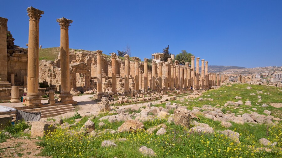 Jerash Archaeological Museum featuring a ruin and heritage elements
