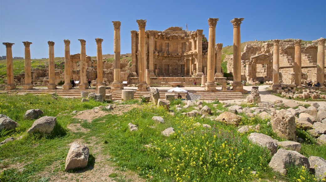 Jerash showing heritage architecture and a ruin