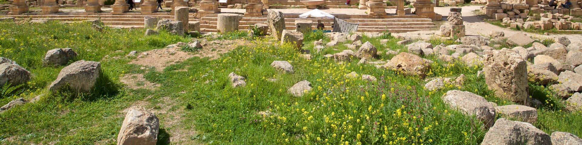 Jerash showing heritage architecture and a ruin
