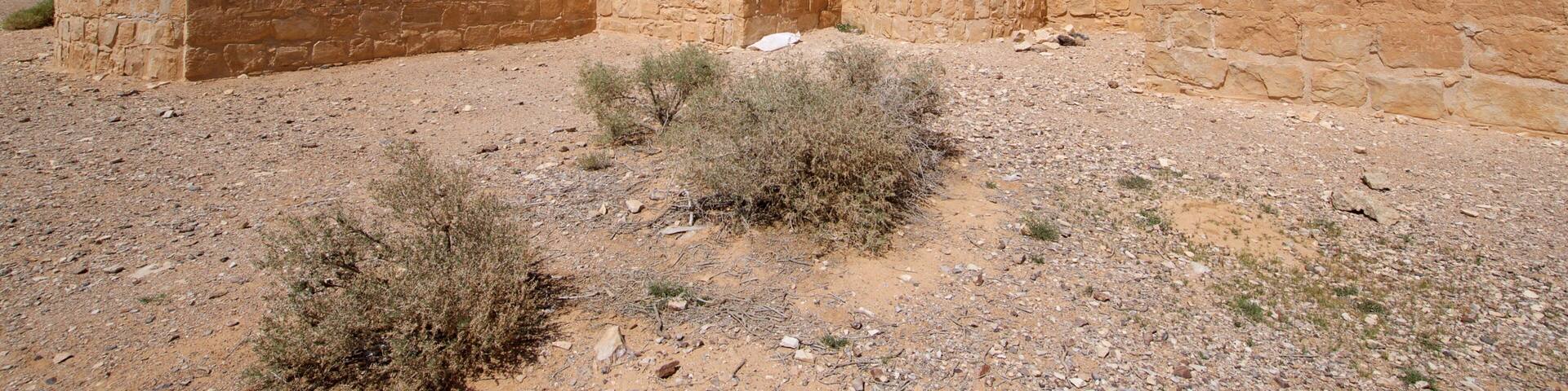 アムラ城 どの含み 遺跡・遺産 と 砂漠の眺め