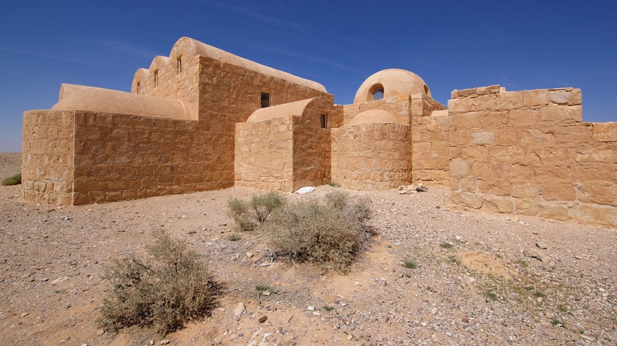 Quseir Amra showing heritage elements and desert views