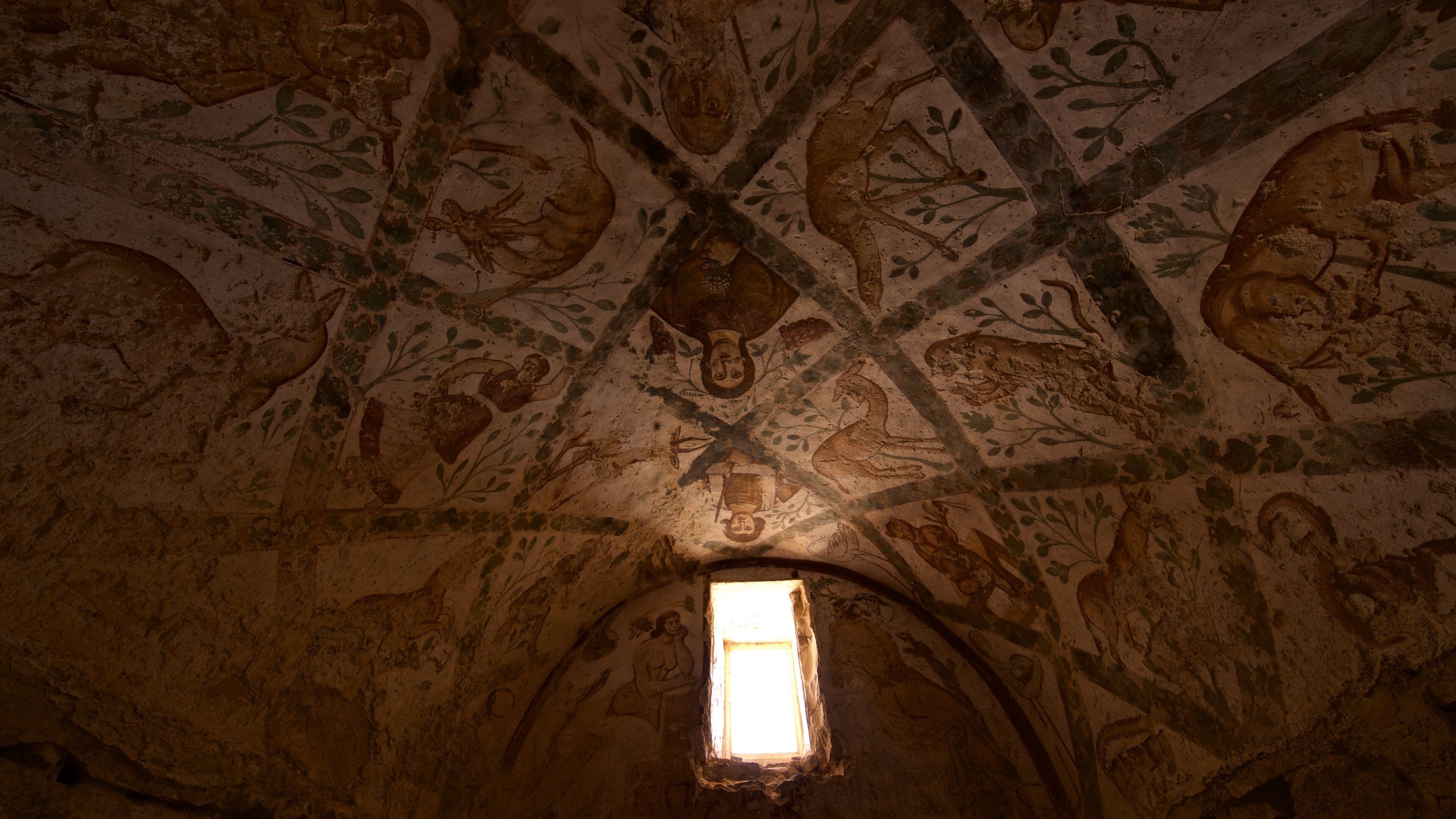 Quseir Amra featuring interior views and heritage elements