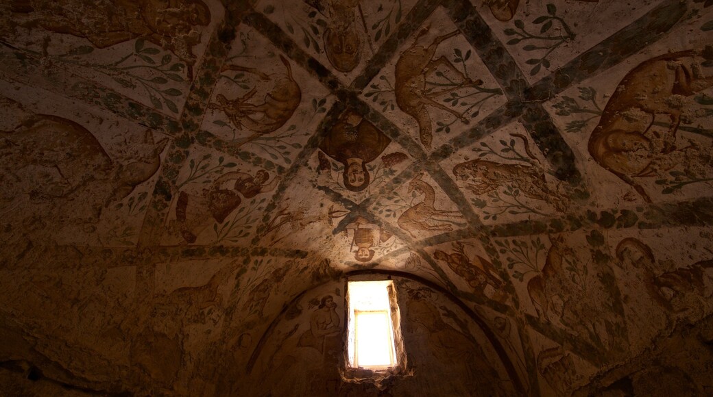 Quseir Amra featuring interior views and heritage elements