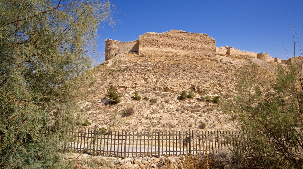 Shobak Castle which includes building ruins and heritage elements