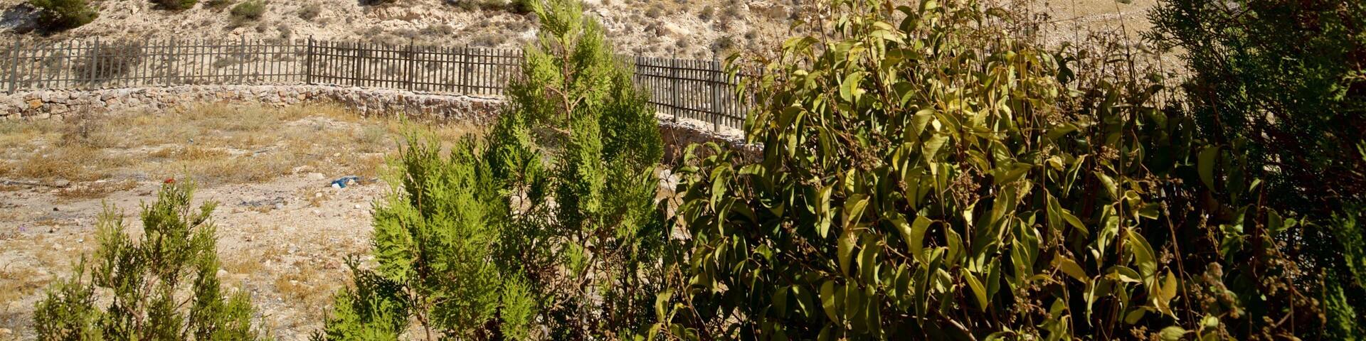 A historical stone fortress on a hill with sparse vegetation.