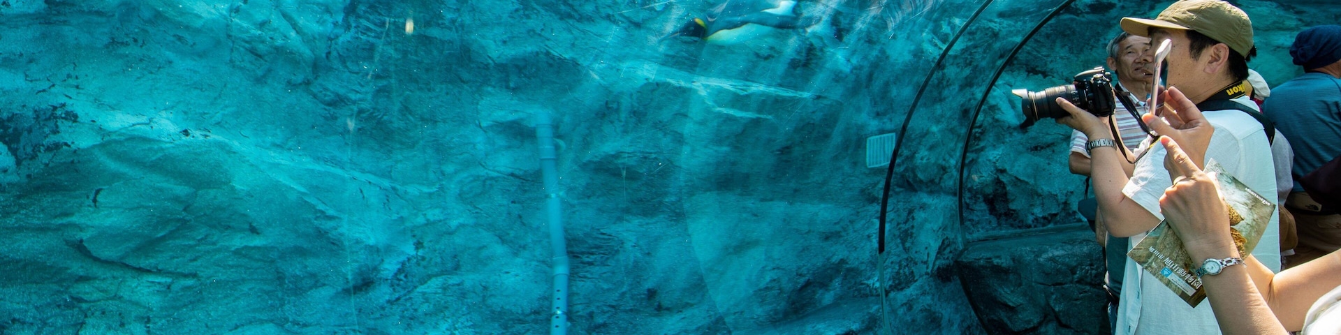 Asahiyama Zoo