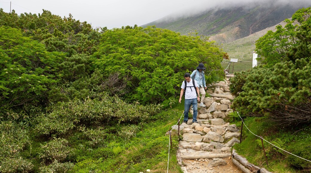 Daisetsuzan National Park