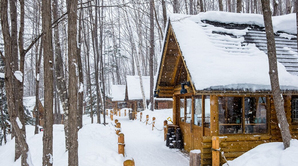 Estación de esquí de Furano