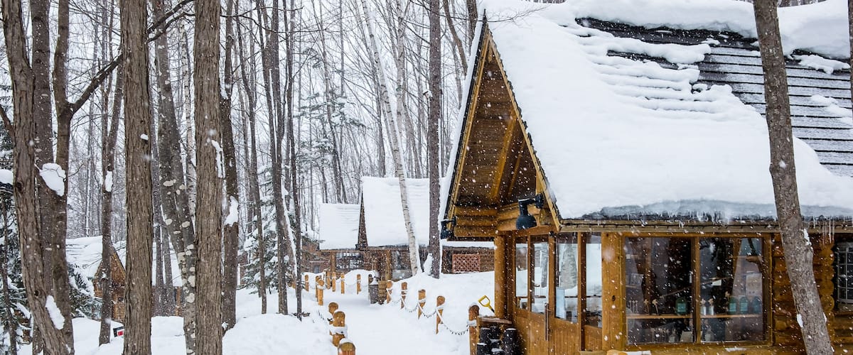 Snow-covered forest cabins during the day in Furano, Hokkaido, Japan
