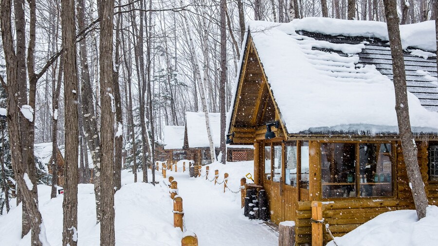 Domaine skiable de Furano